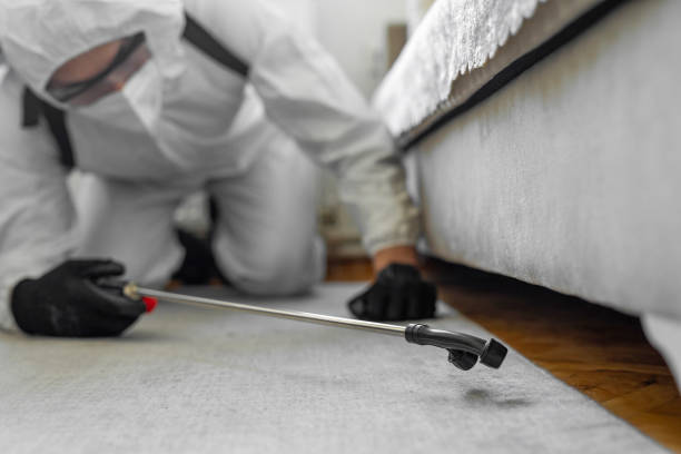 Professional Termite Control technician working in Levelland, TX