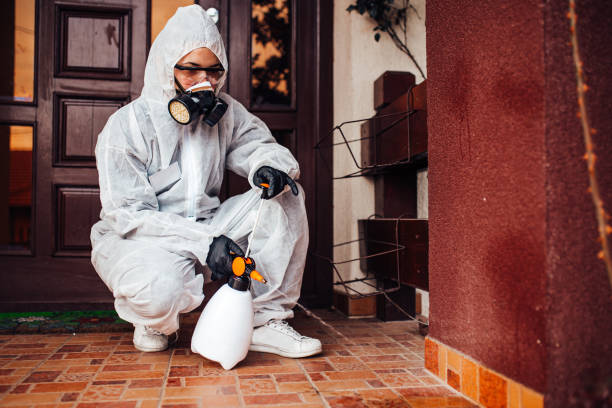 Reliable Termite Control contractor in Levelland, TX by Nex Pest Control